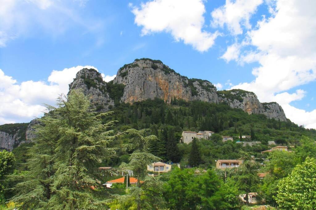 Appartement Les châtaigniers du Thaurac à Saint-Bauzille-de-Putois Extérieur photo